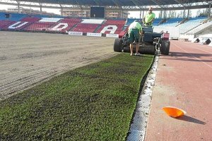 Alfonso quiere un césped cinco estrellas en el Mediterráneo.