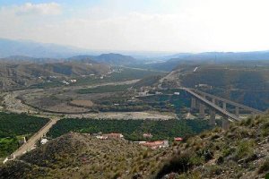 Diferentes cultivos del Bajo Andarax azotados por la sequía de este año.