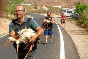 Agentes y vecinos tras salvar algunos ejemplares.