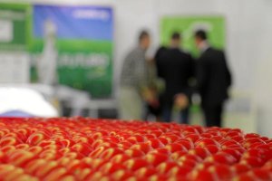 Unos tomates en el expositor de una feria agrícola de la provincia.