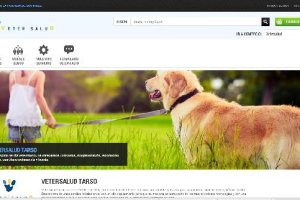 Diseño dela web Buystreet, que comenzará con el lanzamiento de Vetersalud.