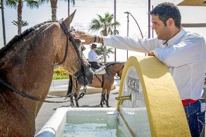 Estos días, Juan José Alonso está pendiente de todos los detalles.