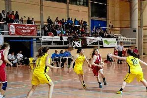 El baloncesto de Almería busca nuevos entrenadores.