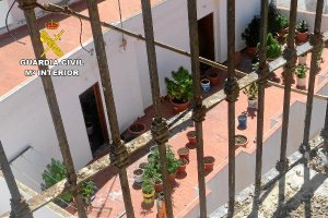 Vista desde la iglesia de la terraza con plantas de maría.