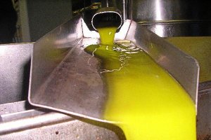 Aceite de olivar virgen en una almazara almeriense