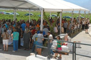 Los visitantes disfrutaron del entorno de los viñedos de esta bodega