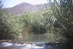 El refugio se buscará en Fuentes de Marbella.