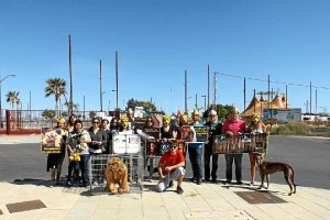 Consideran intolerable el trato que reciben cientos de animales.