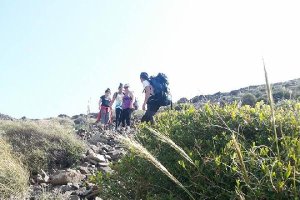 Una actividad anterior.