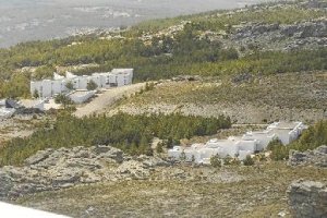 El animal espera tumbado la llegada del almuerzo.