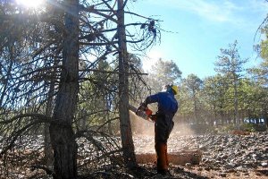 Un operario contratado en este plano,