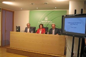 La consejera de Salud, en la presentación de ayer.e;clip:rect(4