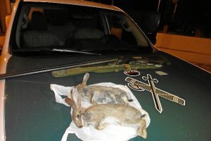 Piezas abatidas por el furtivo que cazaba desde el coche.e;clip