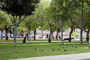 Lugar de la agresión, junto a la Avenida del Mediterráneoe;clip