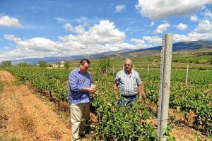 Francisco Vargas y Gabriel Bosquet comprobando los dañose;clip: