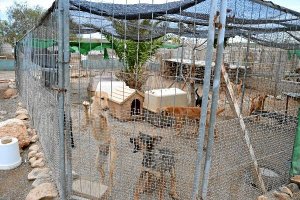 Instalaciones de la protectorao,469px