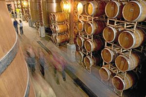 Las bodegas se verían perjudicadas con la nueva leye;clip:rect(
