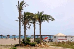 Vera cuenta con un plan especial de accesibilidad a las playas del municipio. tyle>.apqj{p