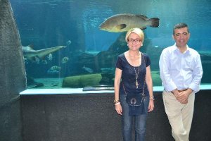 Un mero pasa por detrás de Cabrera y Fernández.