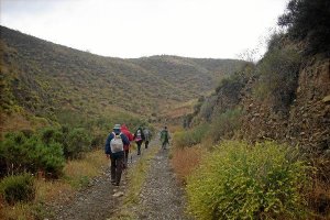 Almería sigue promocionando el Camino Mozárabe de Santiago que discurre por varios municipios. </tit