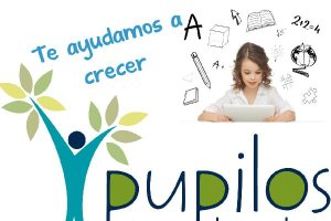 El Centro de Estudios Pupilos, ofrece técnicas de estudio y el control individualizado del alumno </