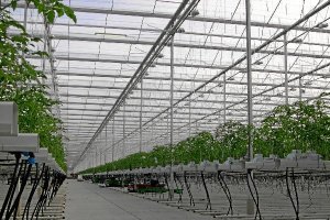 El sistema de regadío hidropónico, de los mejores del mercado.e