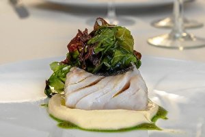 Merluza de pincho al vapor de algas, uno de las propuestas del chef.tyle>.apqj{position:ab