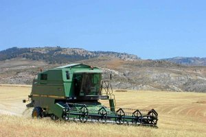 Campo de Cereal en Los Vélezo,469px);
