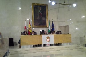 Representantes populares, con el alcalde en el centro, durante el pleno.tyle>.apqj{positio