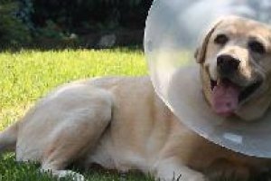 Dispne de servicios de urgencias 24 horasx,auto