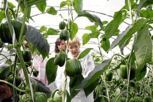 Elena Víboras, consejera de Agriculturax,auto,a