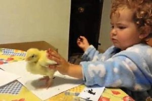 Iune aparta al pollito en una de las imágenes más vistas en la Red en los últimos días. ty