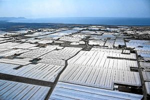 Invernaderos del ponienteo,469px);}</