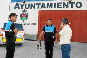 Un agente de la Policía Local sostiene el águila herida en compañía del veterinario.tyle>.