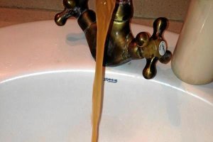 Fotografía suministrada por el PSOE de Turrex,a