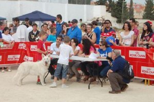 Los más pequeños aprovechan estos concursos para lucir a sus mascotastyle>.apqj{position:a