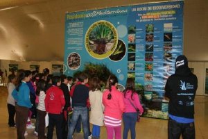 Grupo de escolares visitan la Exposición LIFE Posidoniae;clip:r