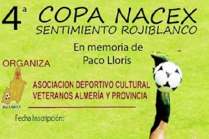 Este es el cartel de la Copa Naxex.o,