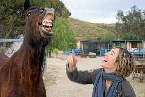 La experta Susana Salamanca y uno de los caballos participantes en el cursotyle>.apqj{posi