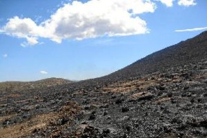 Paraje de Lucainena en el que se originó el fuego el pasado domingo.tyle>.apqj{position:ab