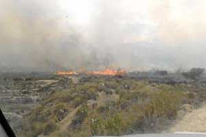 Imagen del área afectada por el incendio.x,auto