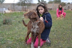 Mayores y pequeños pasean a los animales con la ayuda de los voluntarios.tyle>.apqj{positi