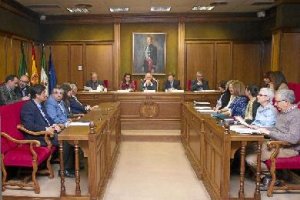 Rosana Navarro,  secretaria general de Coordinación Autonómica y Local del Ministerio de Hacienda, s