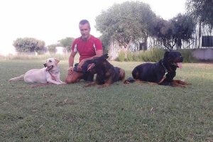 El adiestrador canino Francisco, con algunos perros en la finca de Las Palomas.tyle>.apqj{