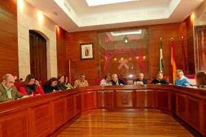 Imagen del pleno municipal celebrado en Vera.x,