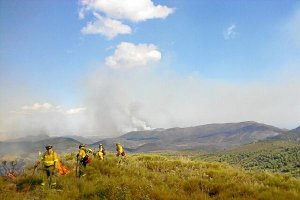 Trabajadores del Infoca sofocando el fuego.x,au