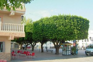 Una de las plazas de Turre, ayer por la tarde. 