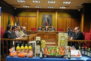 Gabriel Amat en el salón de plenos de Diputacióne;clip:rect(469