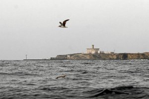 Isla de Alborán<div