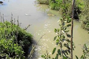 Agua sucia de la depuradora por la rambla. x,au